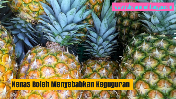 Nenas Boleh Menyebabkan Keguguran