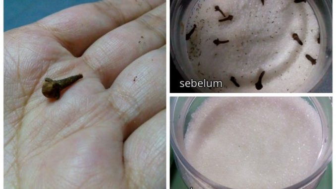 8 Petua Halau Semut Yang Berumah Dalam Bekas Gula Anda
