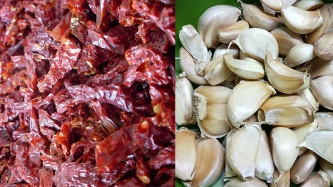 Petua Cili Kisar Tahan Lama, Berbulan Tak Masam Berkulat