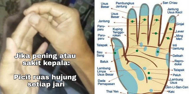 Rahsia Penciptaan Ruas Jari Yang Boleh Hilangkan Rasa Sakit Dengan Teknik Urutan
