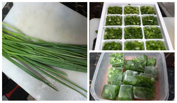 Cara Betul Simpan Daun Bawang Supaya Tahan Lama