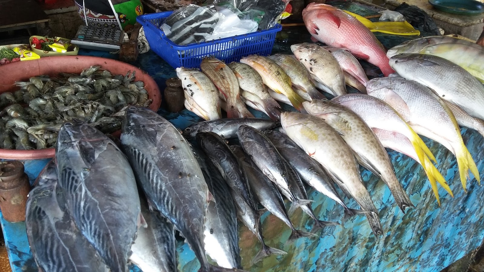Ibu -Ibu Ikut 4 Tip Ini Jika Mahu Pastikan Ikan Dibeli Masih Fresh