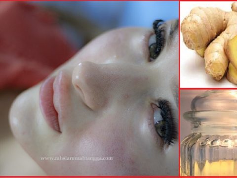 Nak Kos Yang Murah Boleh Guna Cara Ini Buat Rawatan Facial Hanya Di Rumah Sahaja