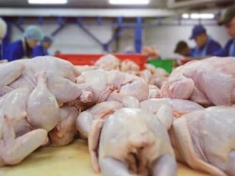 Ambil Tahu Beza Ayam Itu Baru Atau Lama 5 Ilmu Memilih Ayam Segar Di Supermarket Atau Pasar
