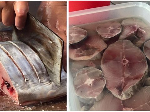 Tips dan Cara Betul Simpan Barang Dapur dan Ikan Segar Tahan Lebih Lama Macam Baru Beli