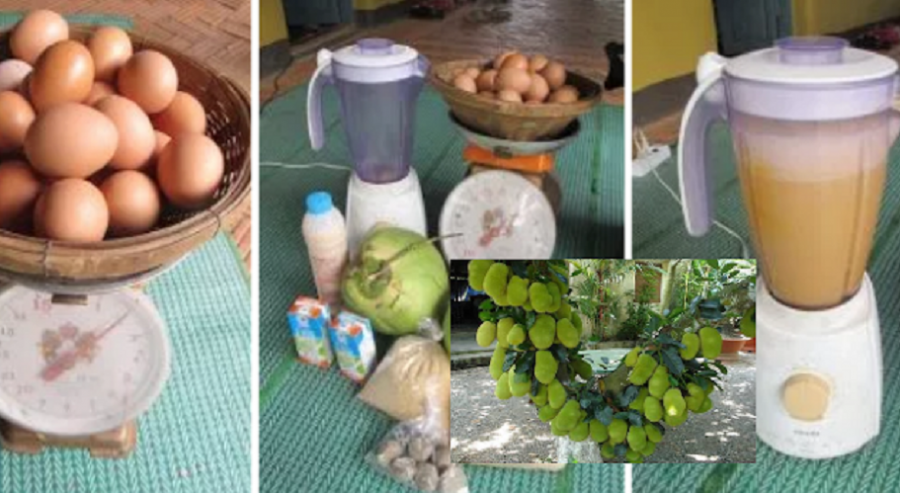 Rahsia Petani Thailand Guna Telur Dengan Air Kelapa Buat Pokok Berbuah Cepat Dan Lebat