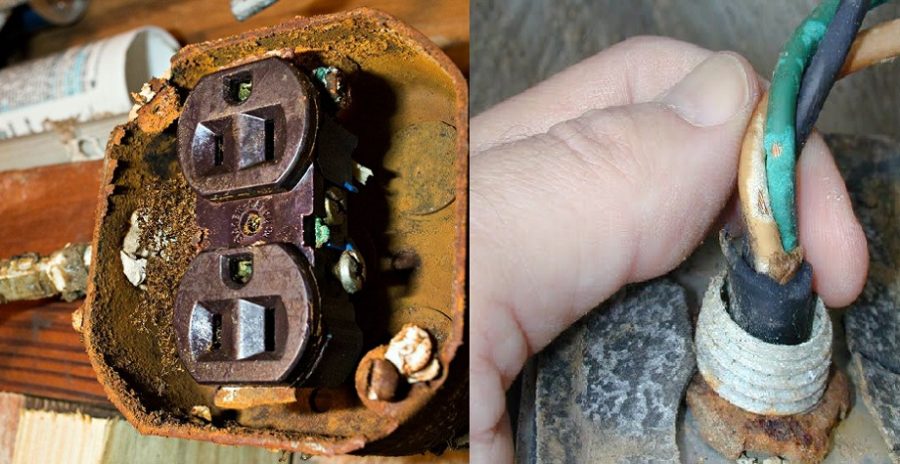 Inilah Sebabnya Kenapa Semut Suka Bersarang Dalam Suis Elektrik, Jika Dibiarkan Boleh Datangkan Bahaya