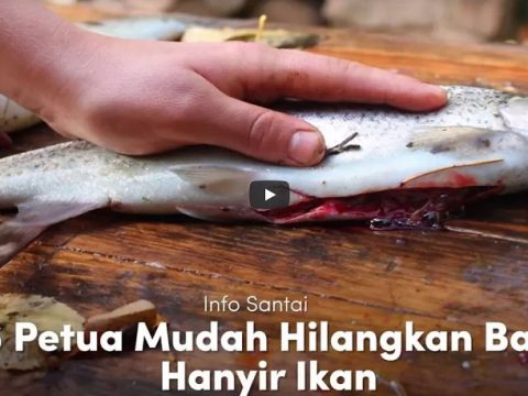 Petua Mudah Untuk Hilangkan Bau Hanyir Ikan Selepas Masak