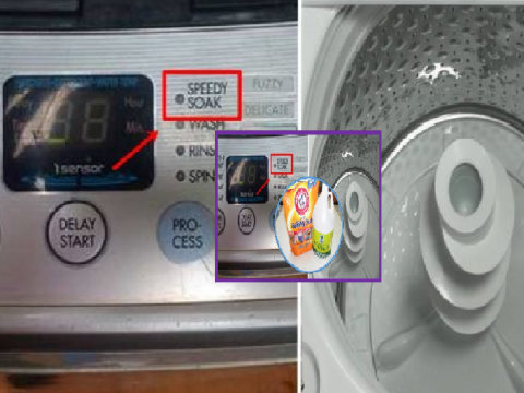 Masih Ramai Tak Tahu, Hanya Tekan Butang Soak, Keladak Di Mesin Basuh Hilang Dengan Mudah