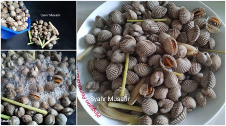 Boleh Cuba Tips Lelaki Ini Kongsi Cara Rebus Kerang Tanpa Air, Barulah Isi Lembut, Tak Liat